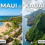 Maui or Kauai